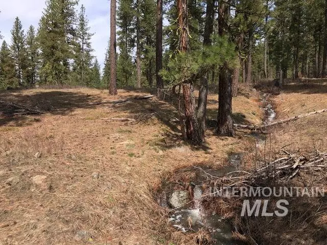 13322 Vili Lane, Mccall, ID 83638