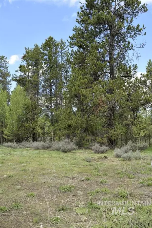 Mccall, ID 83638,206 Morgan Drive