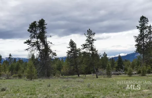 Mccall, ID 83638,TBD Stewart Court