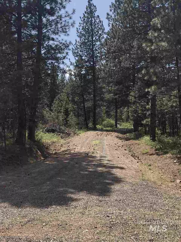 Lot 17 Elk Crossing, Council, ID 83612