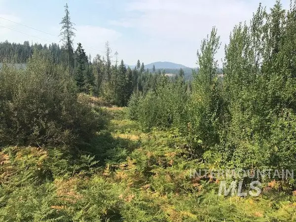 TBD Glenwood Road Tract D, Kamiah, ID 83536