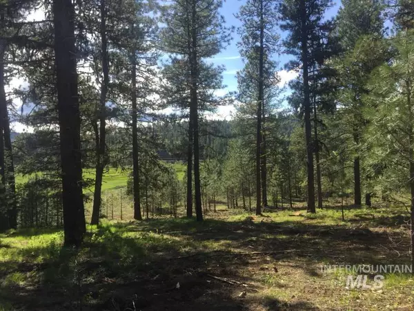 New Meadows, ID 83654,L19 Meadows Dr