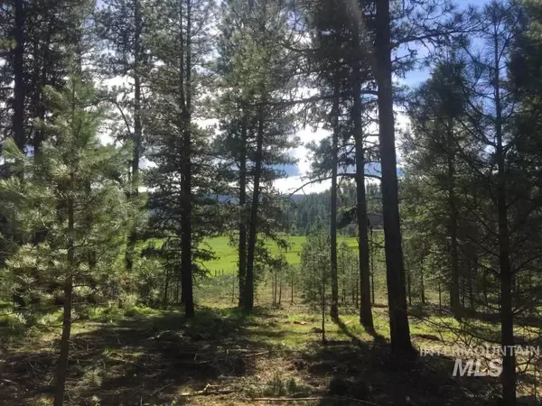 New Meadows, ID 83654,L19 Meadows Dr