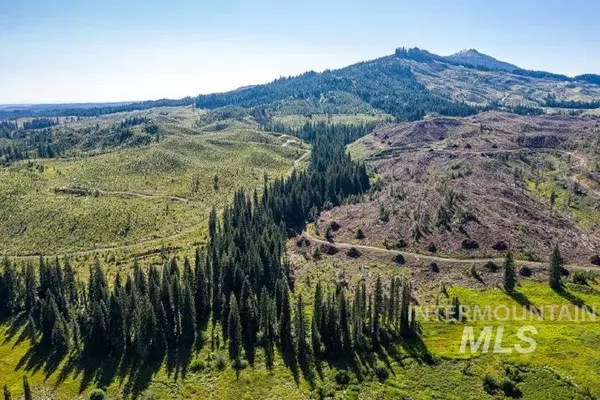 Pierce, ID 83546,146 Bald Mountain Road