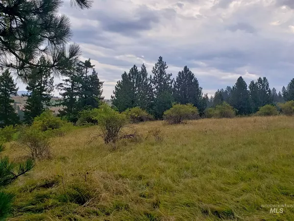 Kooskia, ID 83539,TBD Dalton Acres Road
