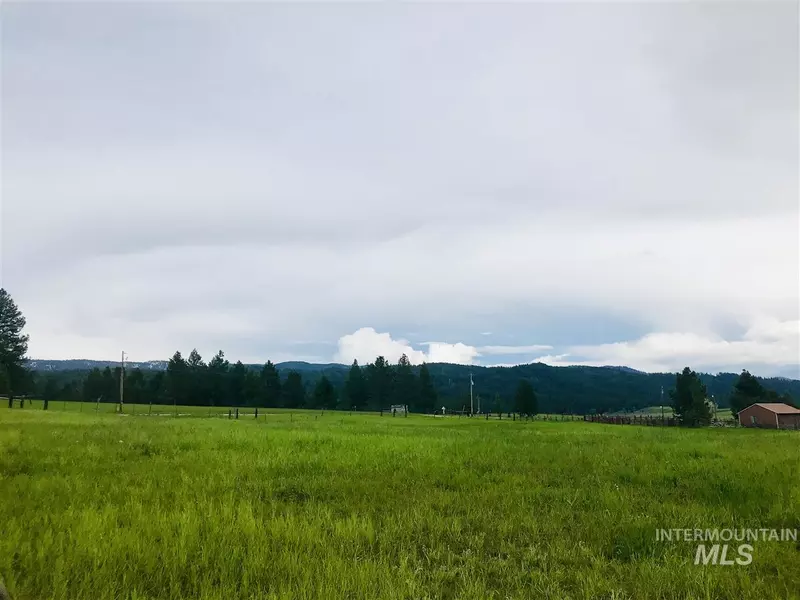 TBD Goslin Loop, Cascade, ID 83611