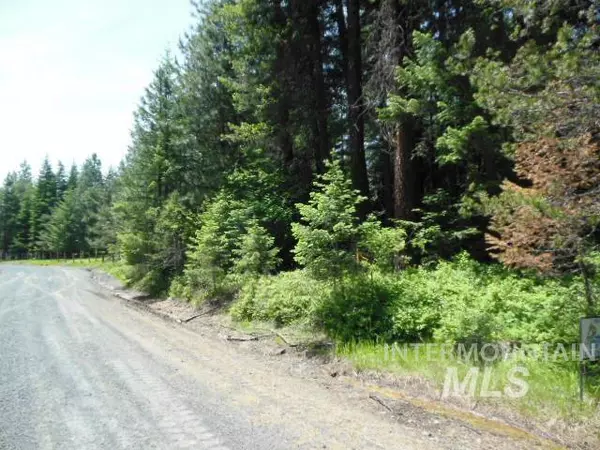 Orofino, ID 83544,235 Best Corner Road