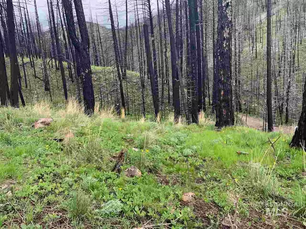 Baker City, OR 97814,TBD Beaver Creek Rd