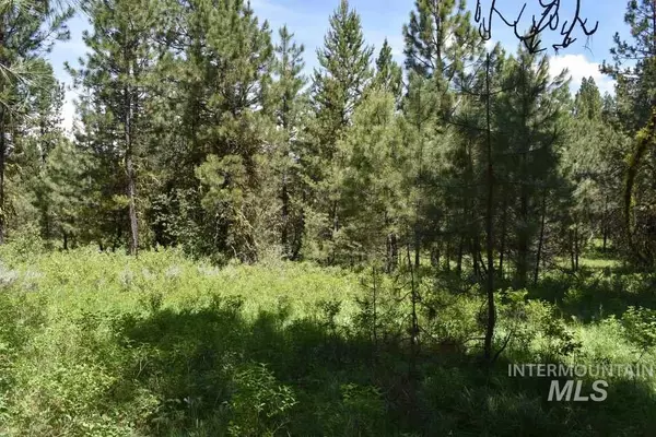 Cascade, ID 83611,TBD Silver Stone Court Lot 5