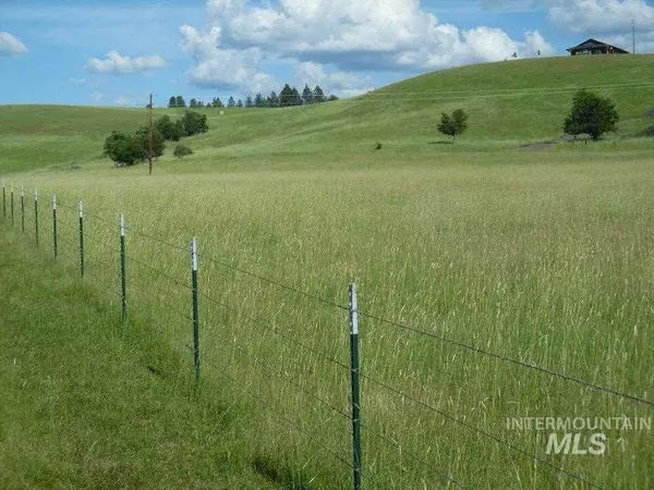 Kooskia, ID 83539-0000,180 Longhorn Lane   Parcel 4