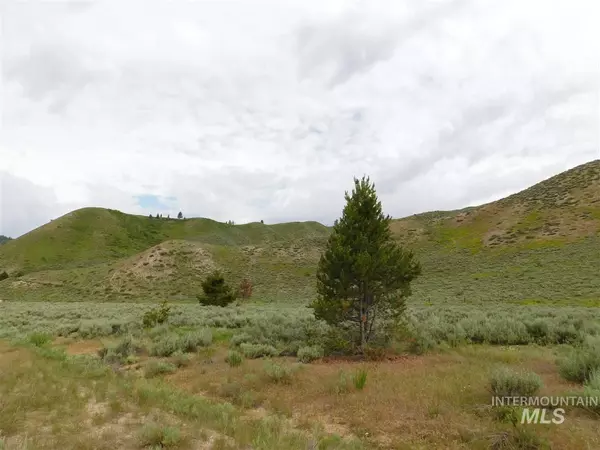 Featherville, ID 83647,Lot 19 Block 1 South Fork Ranch