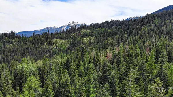 Enterprise, OR 97828,0 Reavis Rd