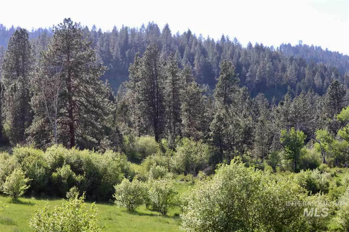 Enterprise, OR 97828,0 Reavis Rd