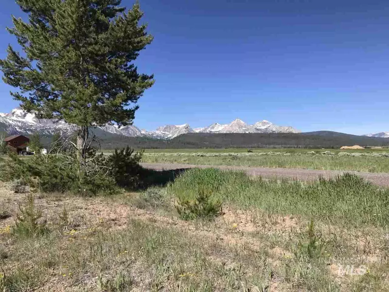 245 Benner Street, Stanley, ID 83278