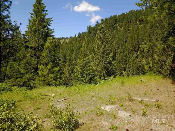 New Meadows, ID 83654,17.11 AC N Elk Lake Rd