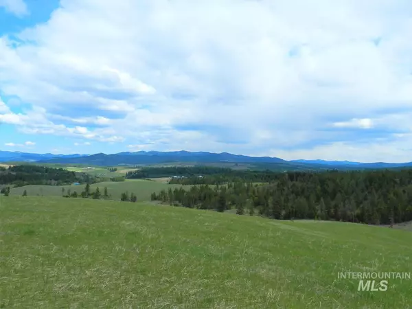 NNA Grange Park Road Parcel #4, Princeton, ID 83857