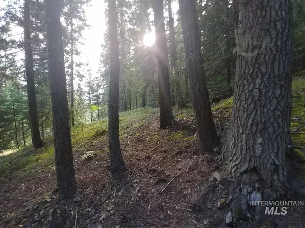 Kooskia, ID 83539,000 Red Fir