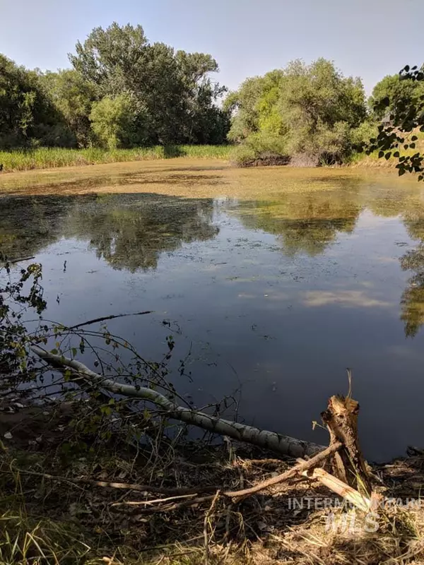 Caldwell, ID 83607,14964 Game Bird