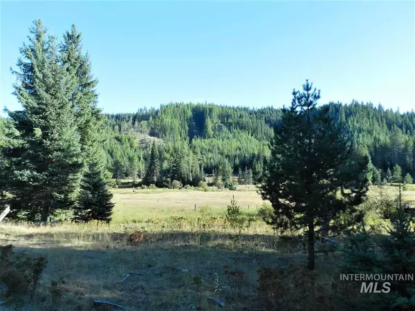 TBD Talapus Creek Road, Parcel 1 & 2, Bovill, ID 83806