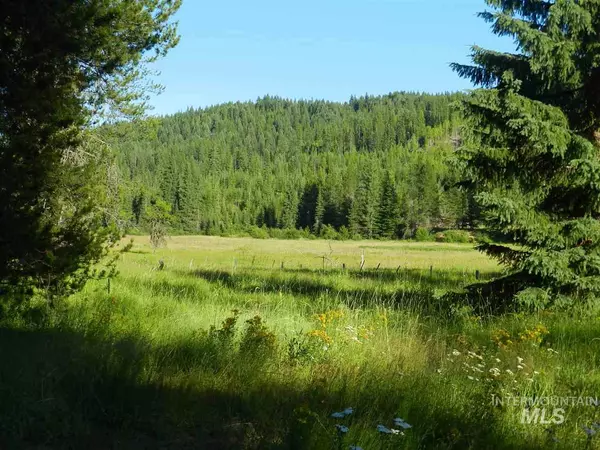 Bovill, ID 83806,TBD Talapus Creek Road, Parcel 1 & 2