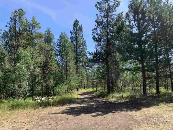 Mccall, ID 83638,TBD Wanda Ave