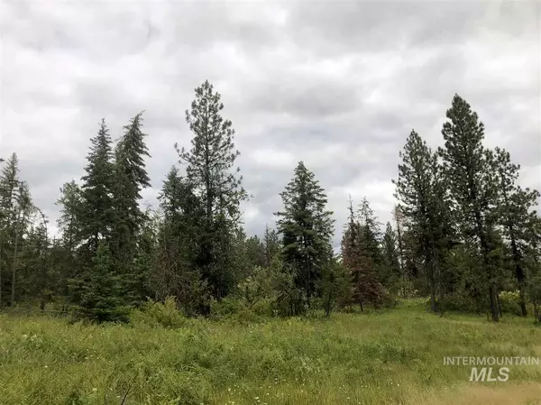 Orofino, ID 83544,Parcel 5 Bugle Ridge (Upper Ove)