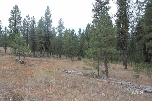 New Meadows, ID 83654,Lot 29 Timber Ridge Drive