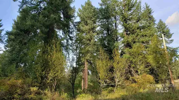 Kooskia, ID 83539,389 Suttler Creek Road