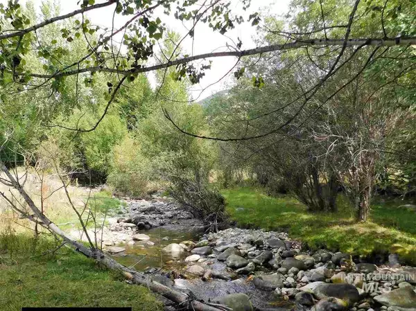 North Fork, ID 83466,Buckhorn Lane