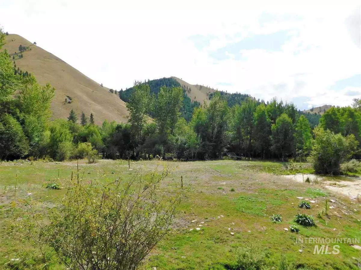 North Fork, ID 83466,Buckhorn Lane