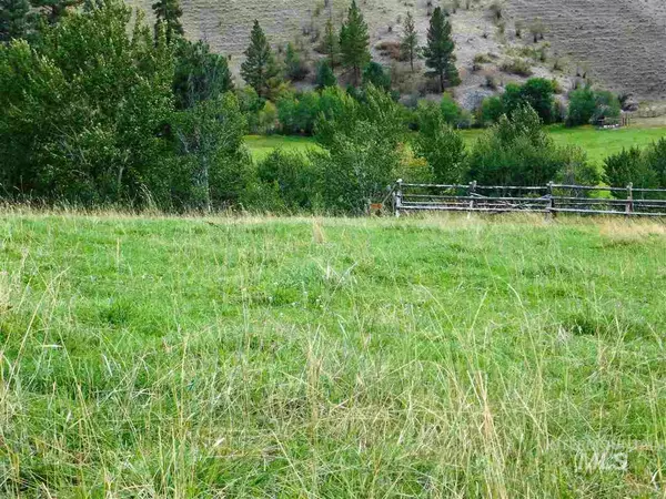 North Fork, ID 83466,Buckhorn Lane