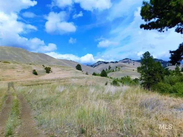 North Fork, ID 83466,Chukar Ridge