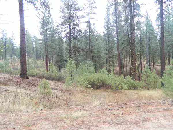 Lot 15 Duquette Pines, Idaho City, ID 83631