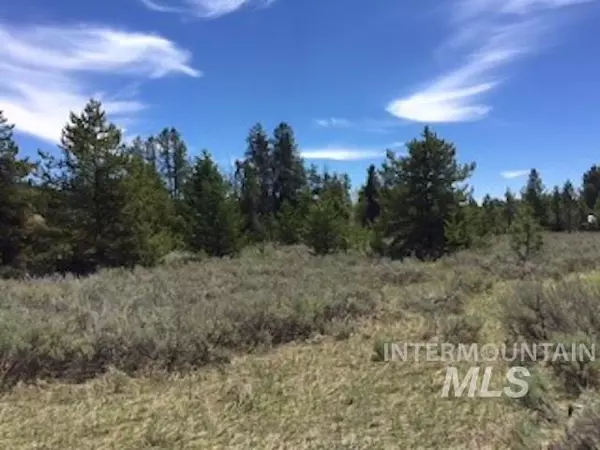 Mccall, ID 83638,13774 Horizon View Rd