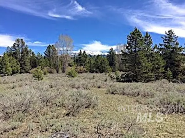 Mccall, ID 83638,13770 Horizon View Rd