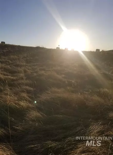 0000 Eberhardt Grade & Springston Road, Peck, ID 83545