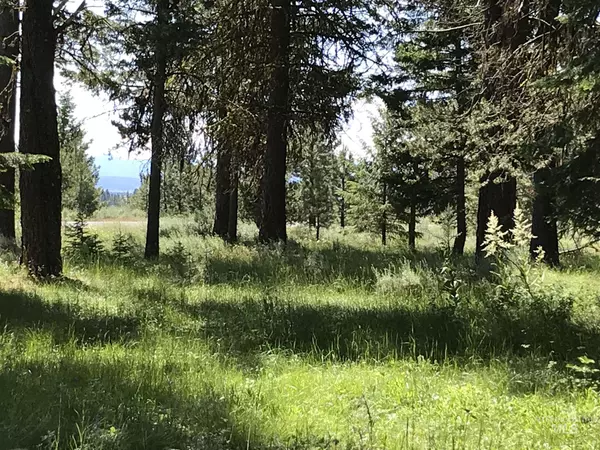 Mccall, ID 83638,TBD Blackhawk Lake Drive