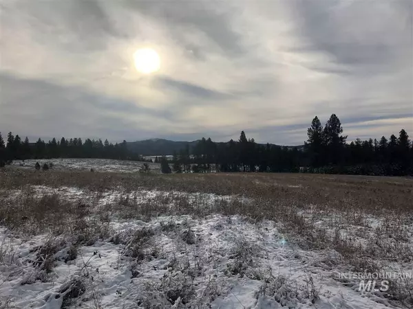 Helmer, ID 83823,35.5 +/- AC Tbd Helmer Lane