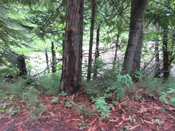 Kooskia, ID 83539-0000,000 Loloyn Lane