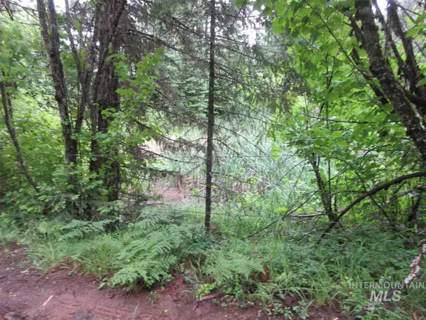 Kooskia, ID 83539-0000,000 Loloyn Lane