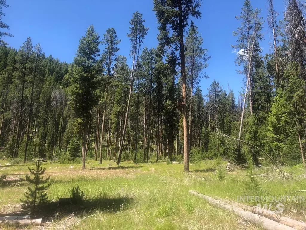 Big Creek, ID 83677,17200 Edwardsburg Rd