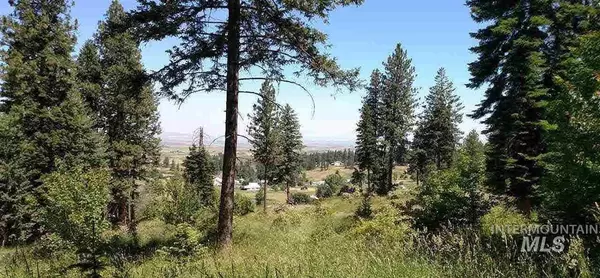 Grangeville, ID 83530,Lot 6 Elk Ridge Lane