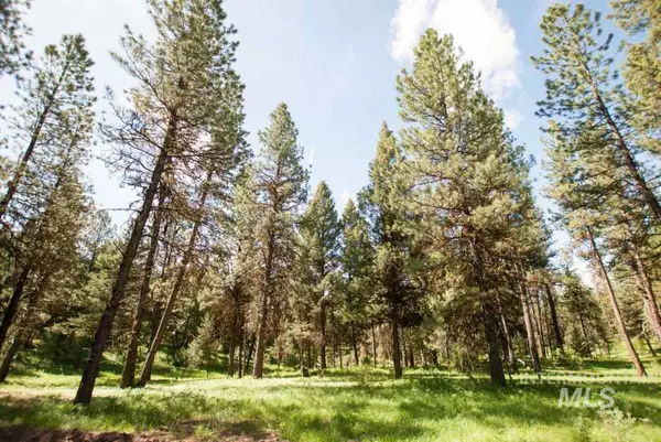 Mccall, ID 83638,15 Vernon Court