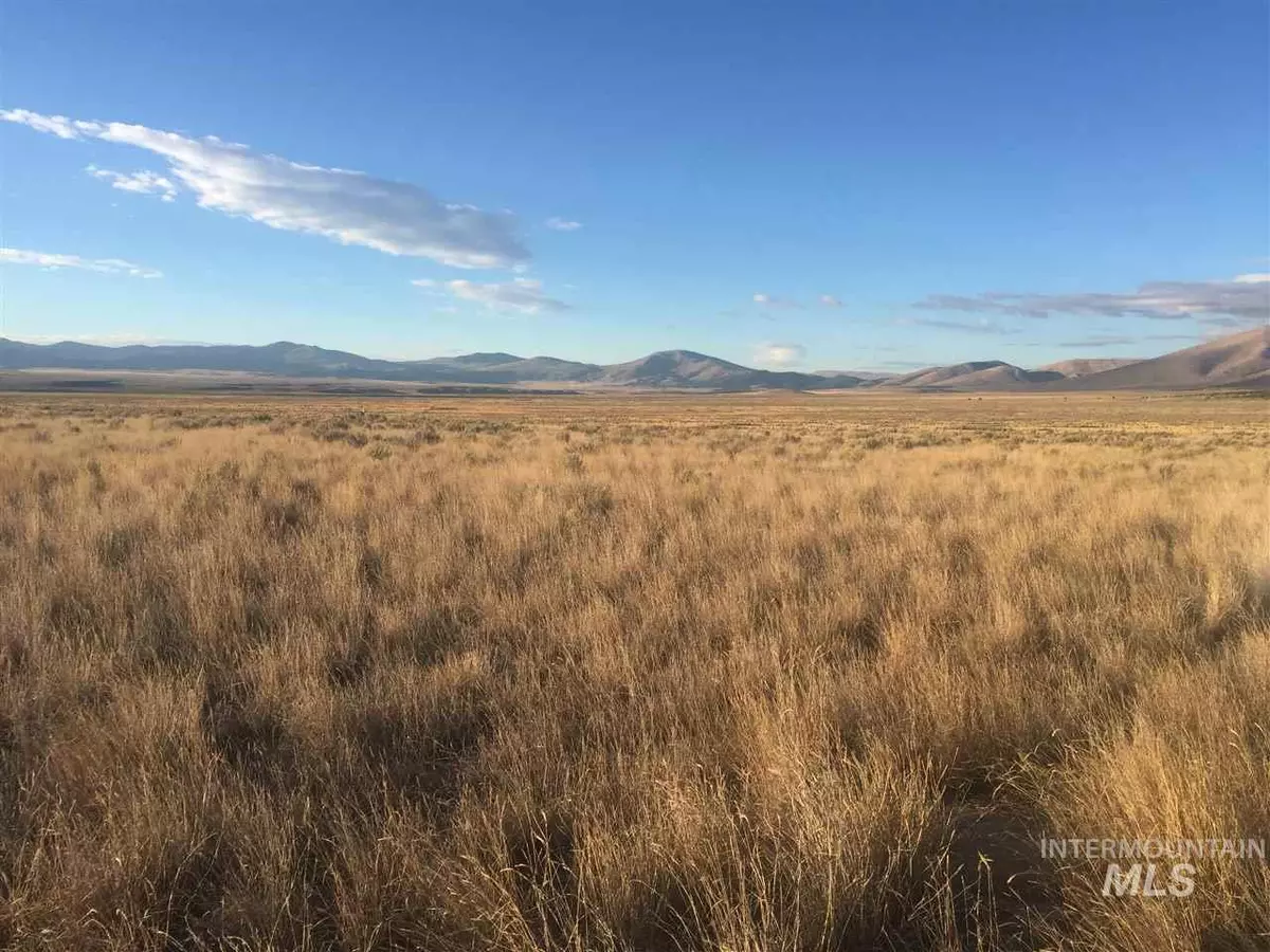 Almo, ID 83312-0001,TBD Shootin Iron Road