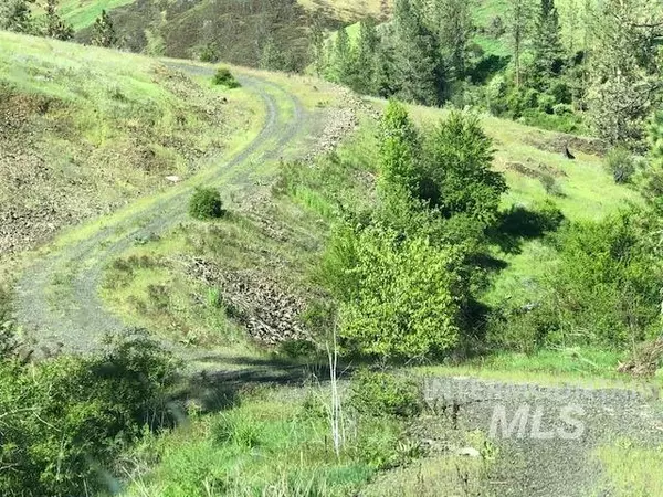 Stites, ID 83552,65 Acres Rio Vista Drive