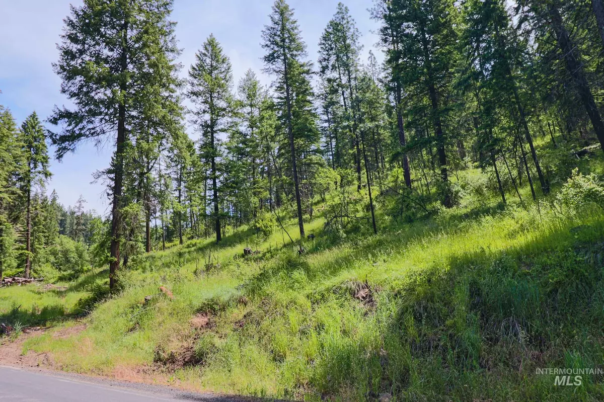 Orofino, ID 83544,TBD Harmony Heights Loop