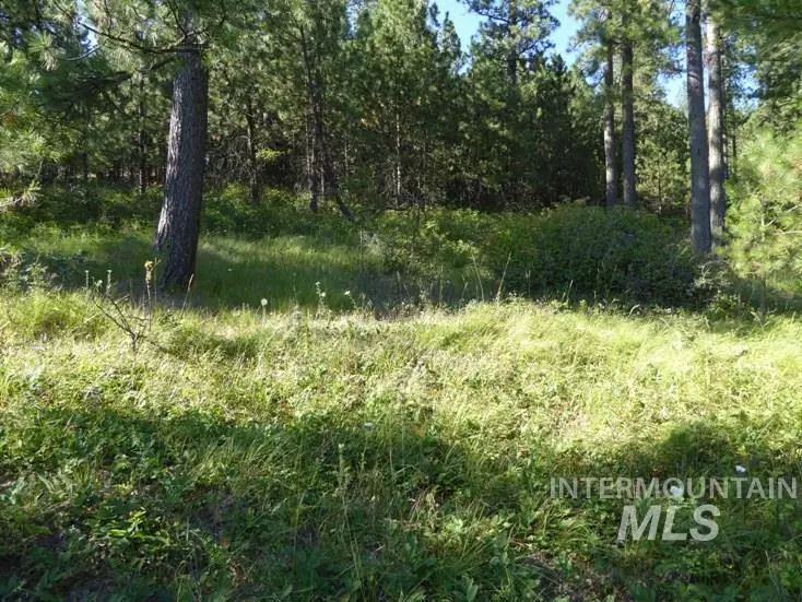NKA Snowberry Lane Lot 10, St. Maries, ID 83861