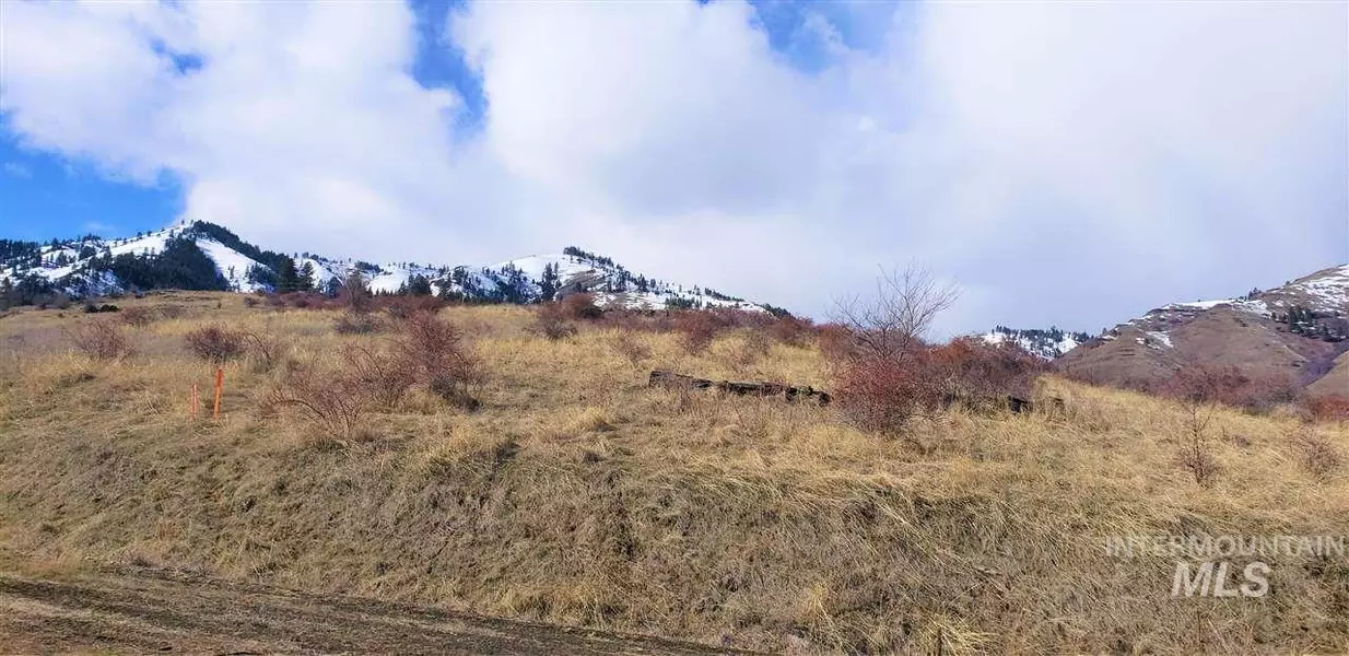 Lot 107 Betw Canyon View & Mountain View, White Bird, ID 83554