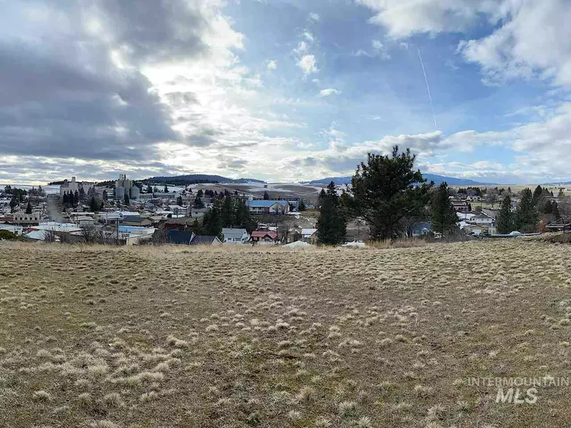 Lot 1&2 East Street, Cottonwood, ID 83522