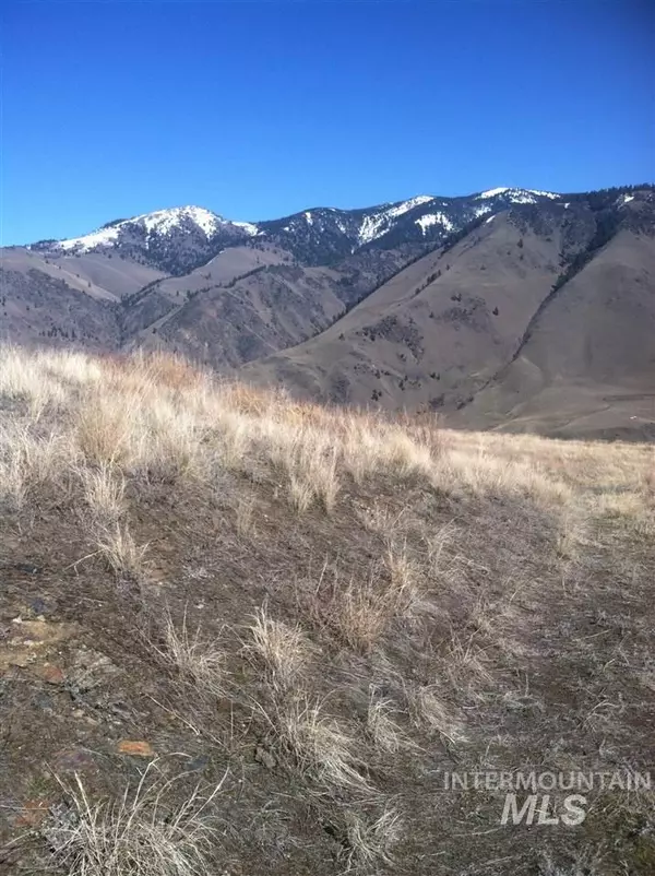 Riggins, ID 83549,TBD Little Salmon Overlook